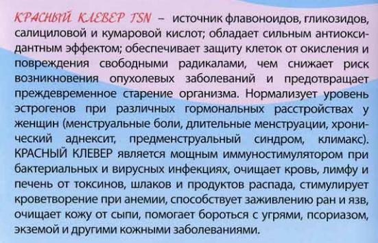 Красный Клевер