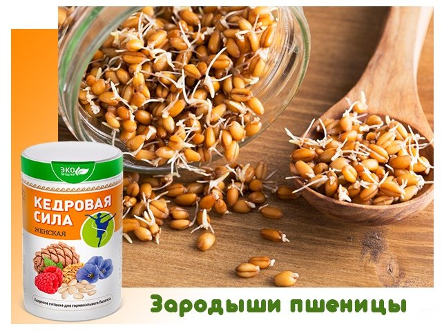 Кедровая Сила