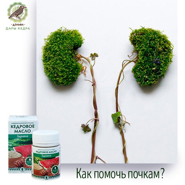 Масло Здравие