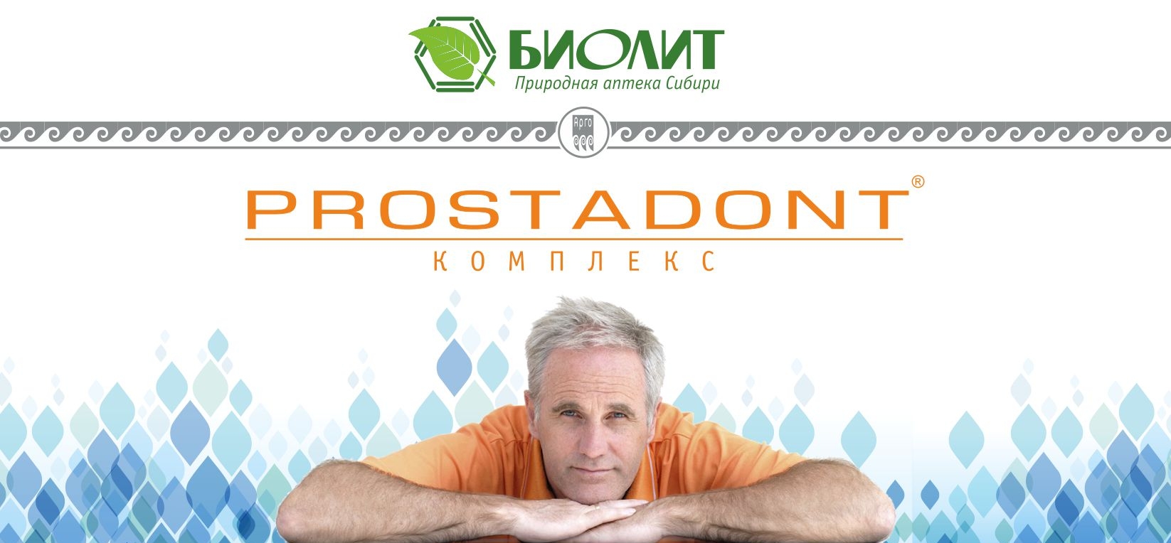 Простадонт