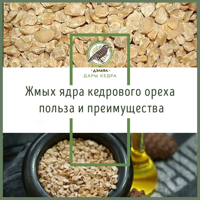 Кедровая сила