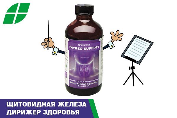 Тирео Саппорт