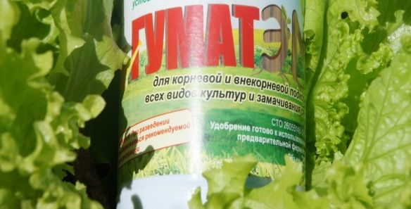 ГуматЭМ