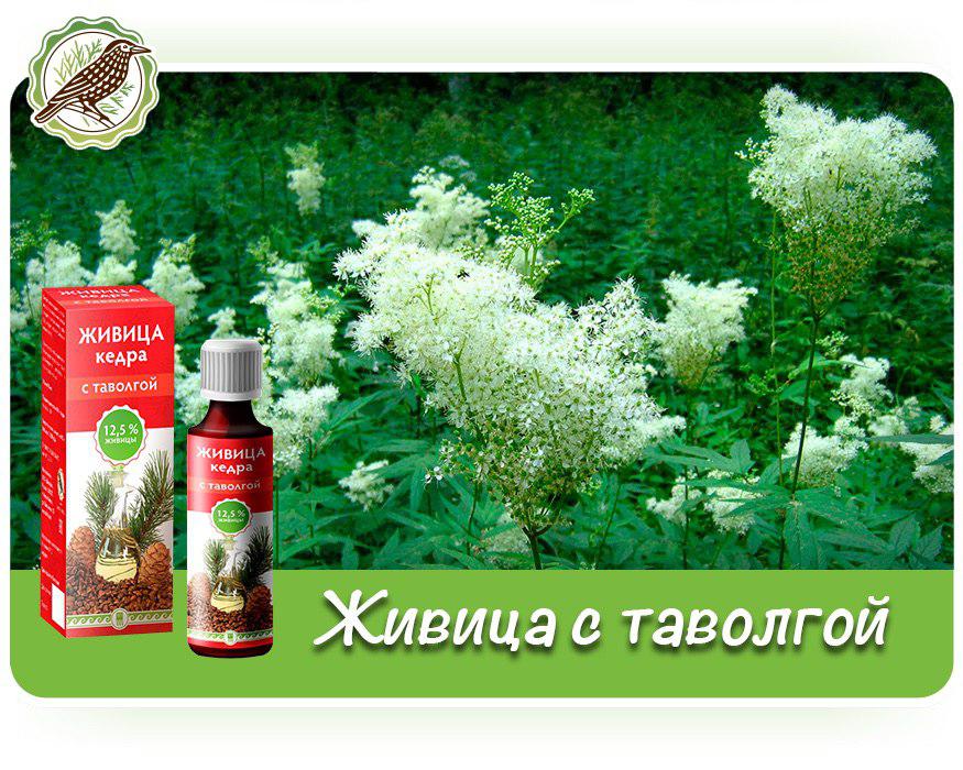 Живица с таволгой