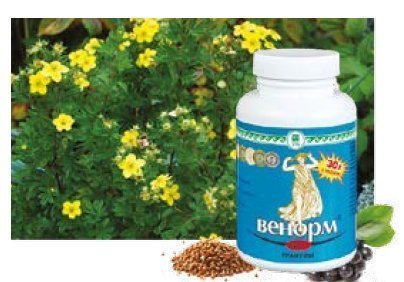Венорм