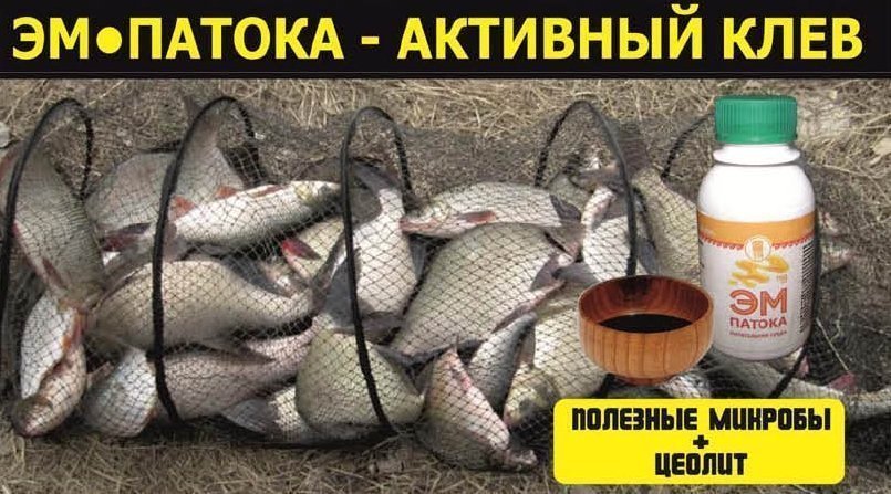 ЭМ-патока