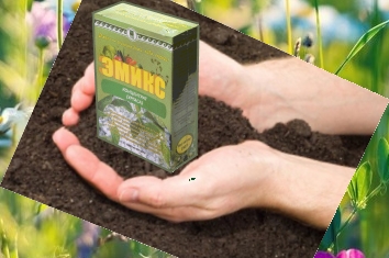 Эмикс Арго