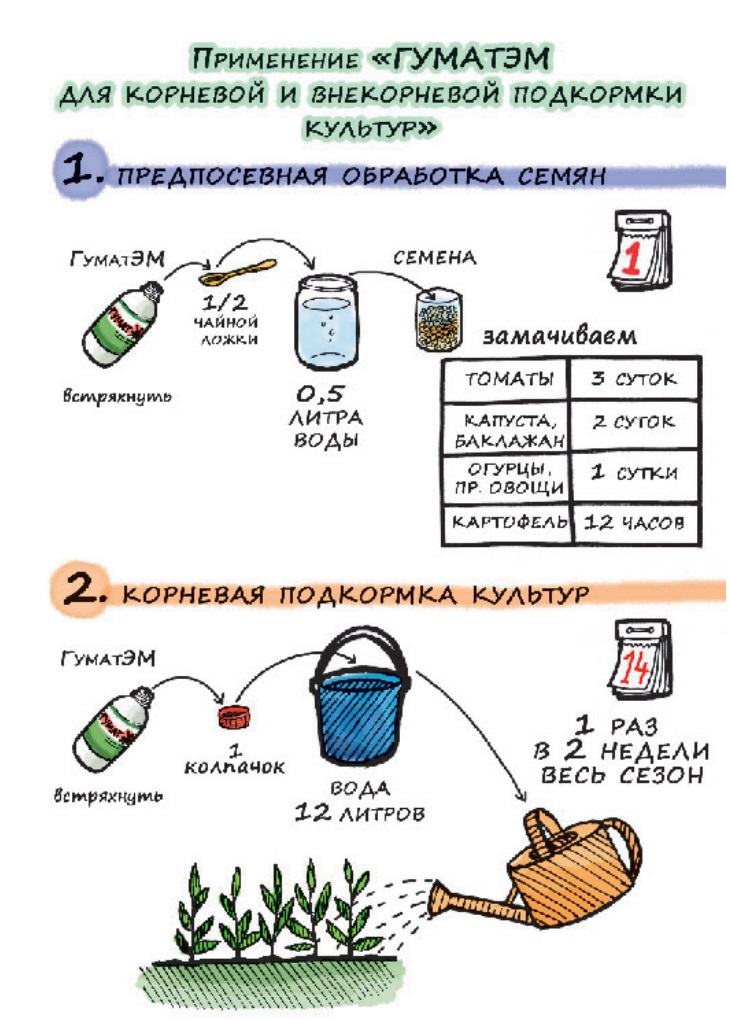 Арго