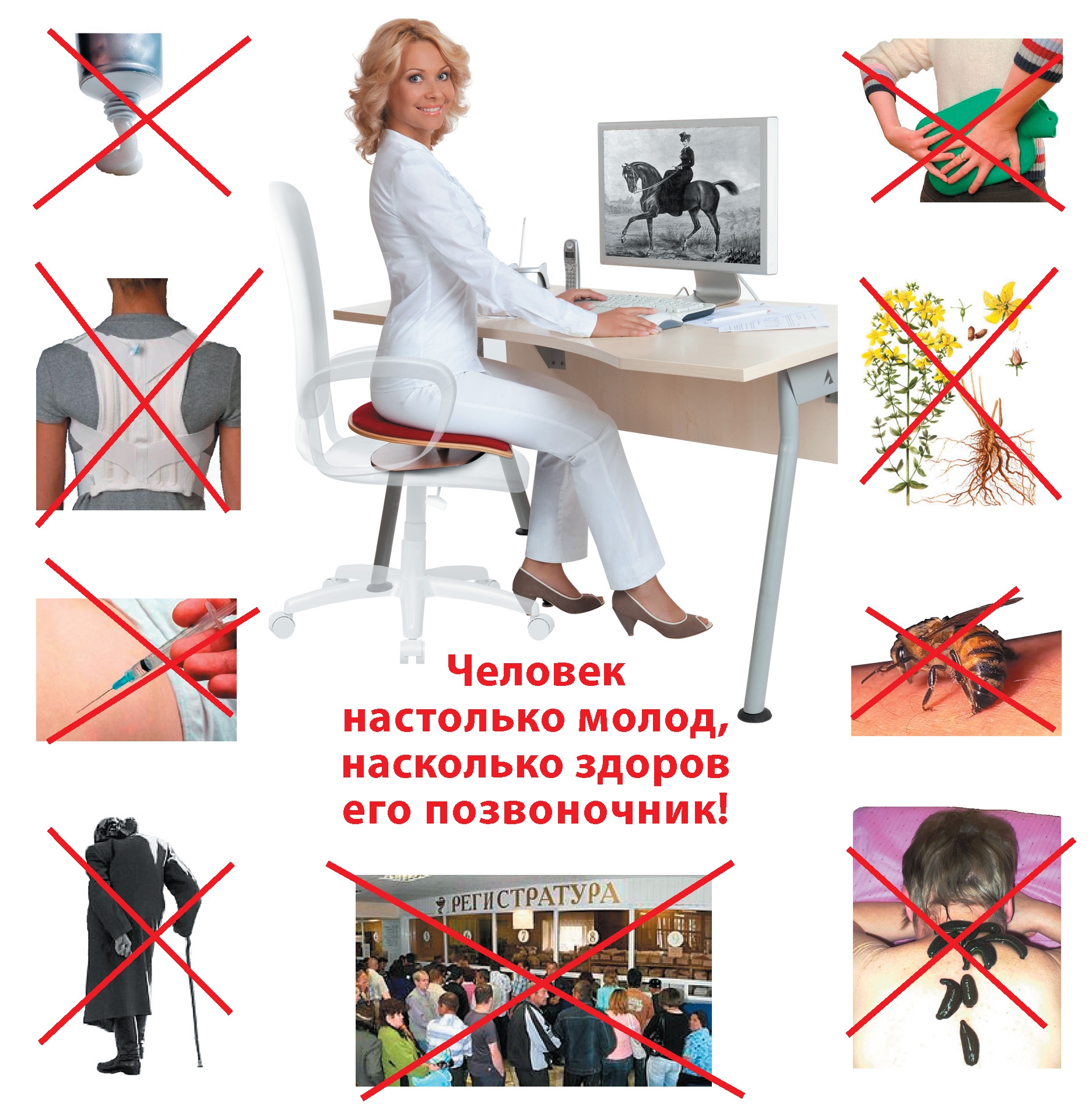 СпинаОК
