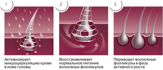 ВекторПро