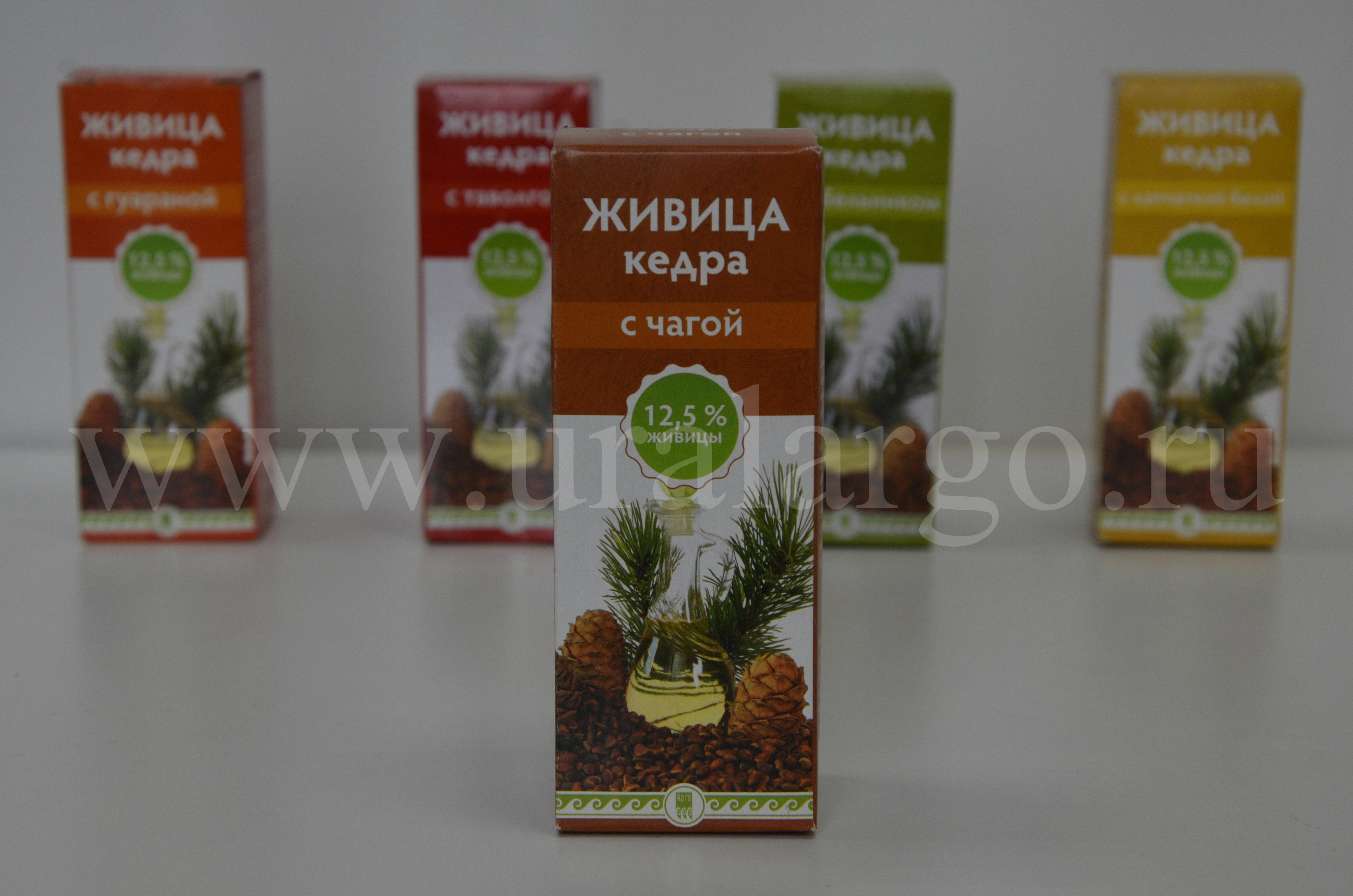 живица кедра с чагой купить арго екатеринбург