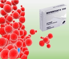 Мумичага