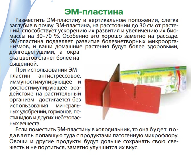 ЭМ-пластина