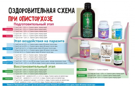 Экорсол