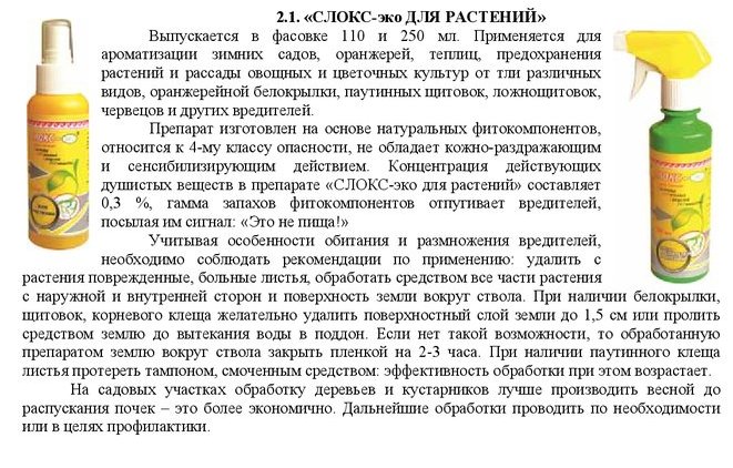 СЛОКС