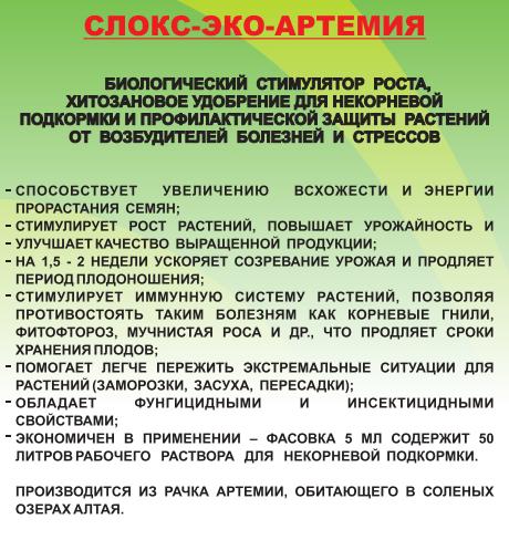 Слокс артемия