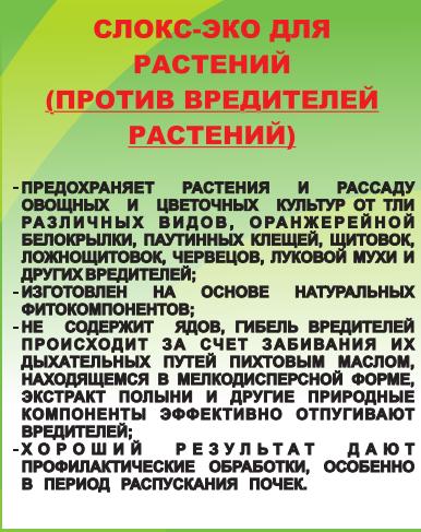 СЛОКС для растений