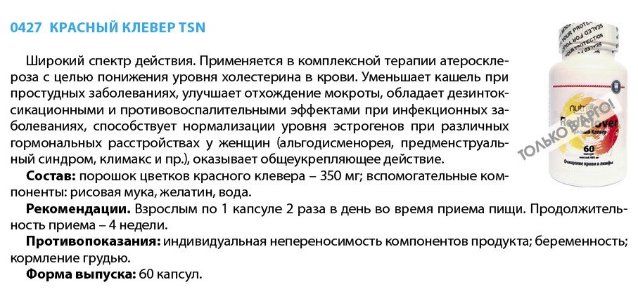 Красный клевер