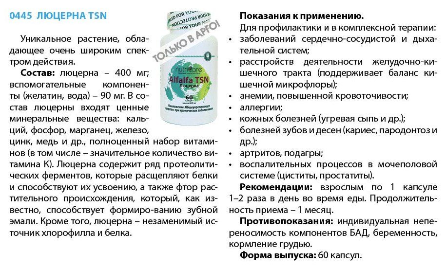 Люцерна