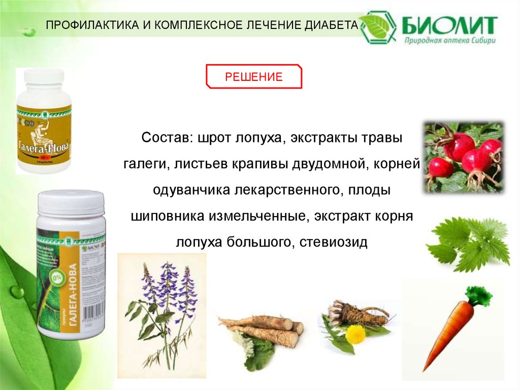 Галега-Нова