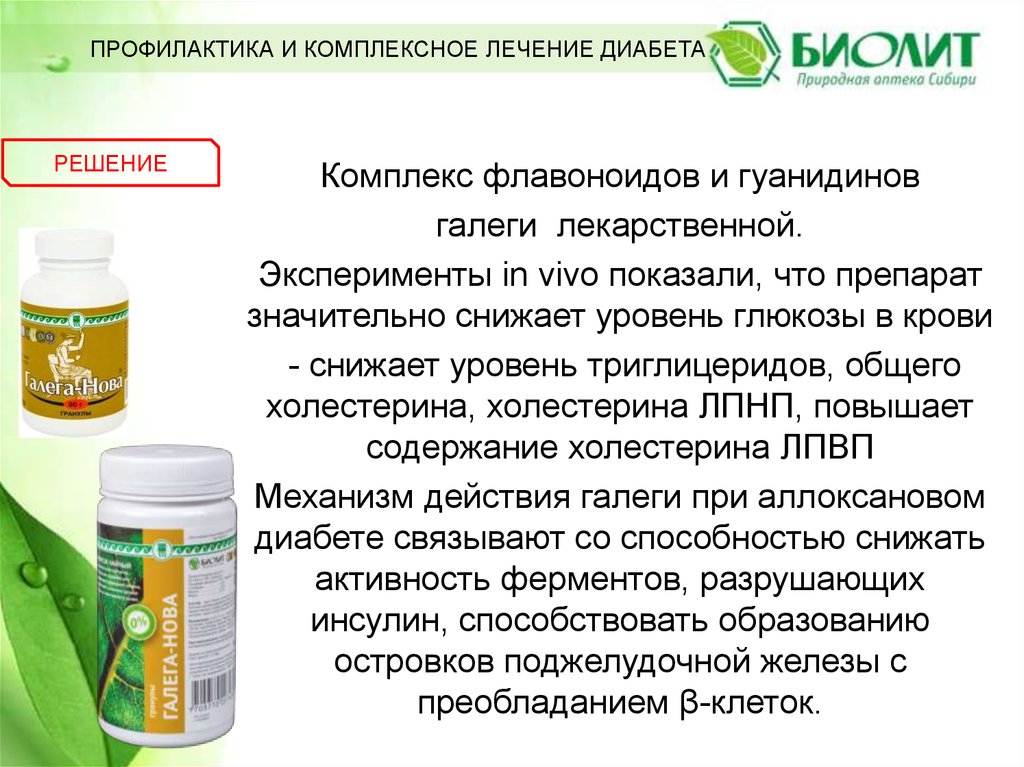 Галега Нова