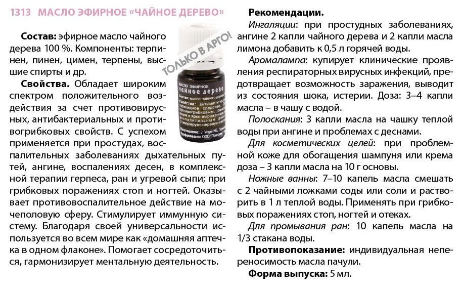 Чайное дерево