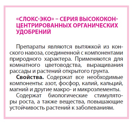СЛОКС Арго
