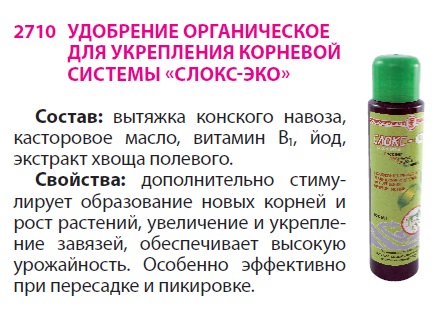 СЛОКС Арго