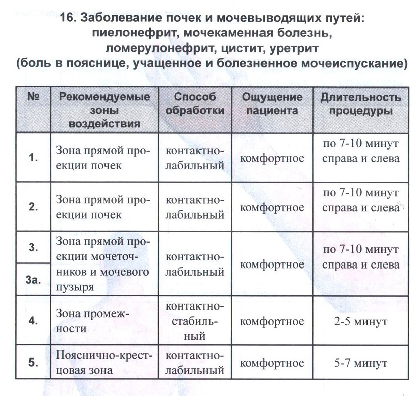 АМД ДОН почки