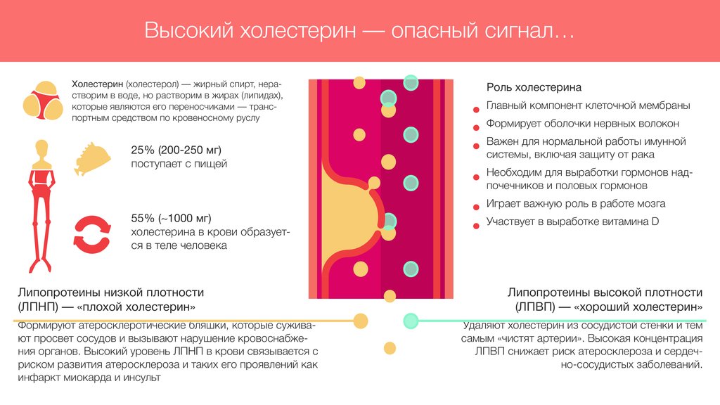 Управление холестерином