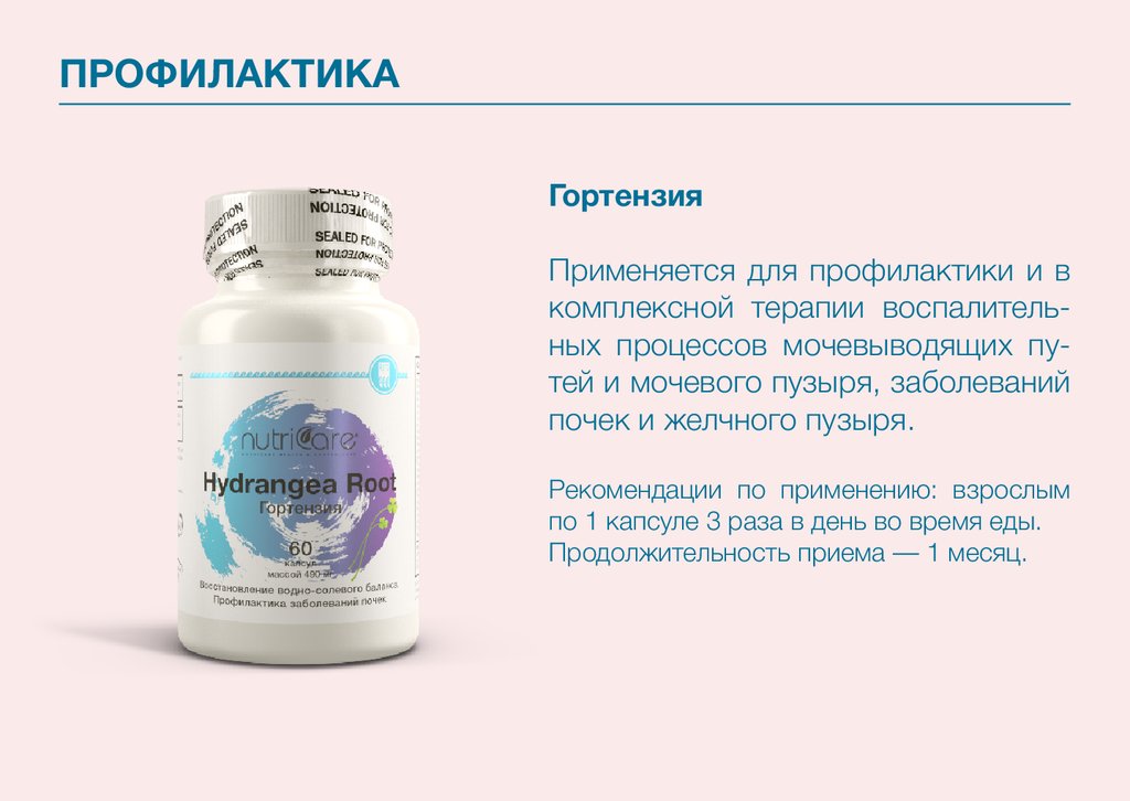 Гортензия