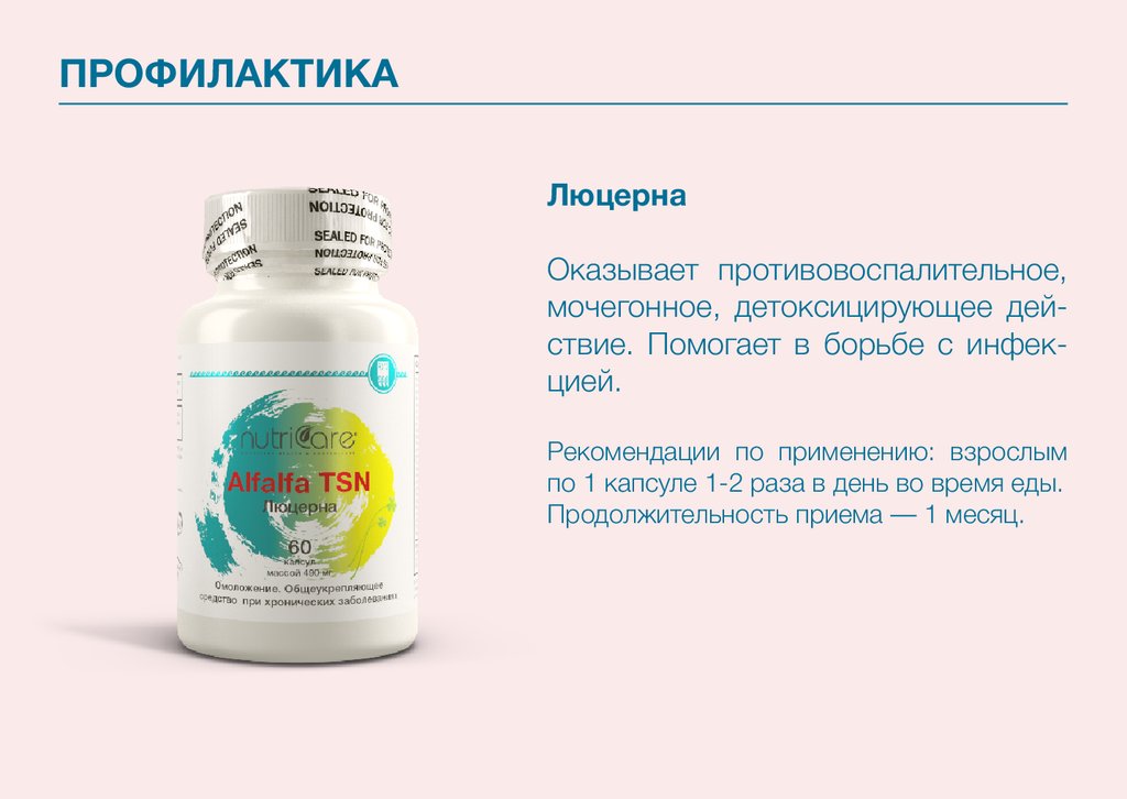 Почки Арго