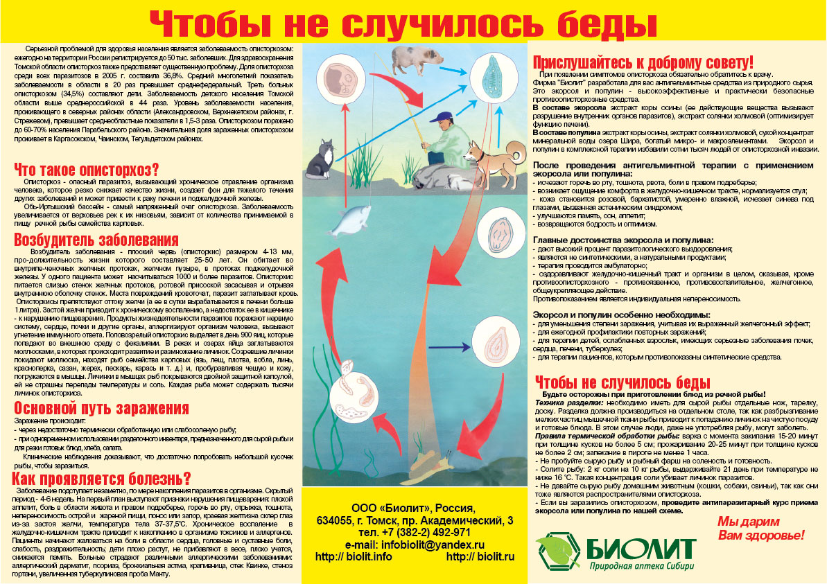 Описторхоз Экорсол