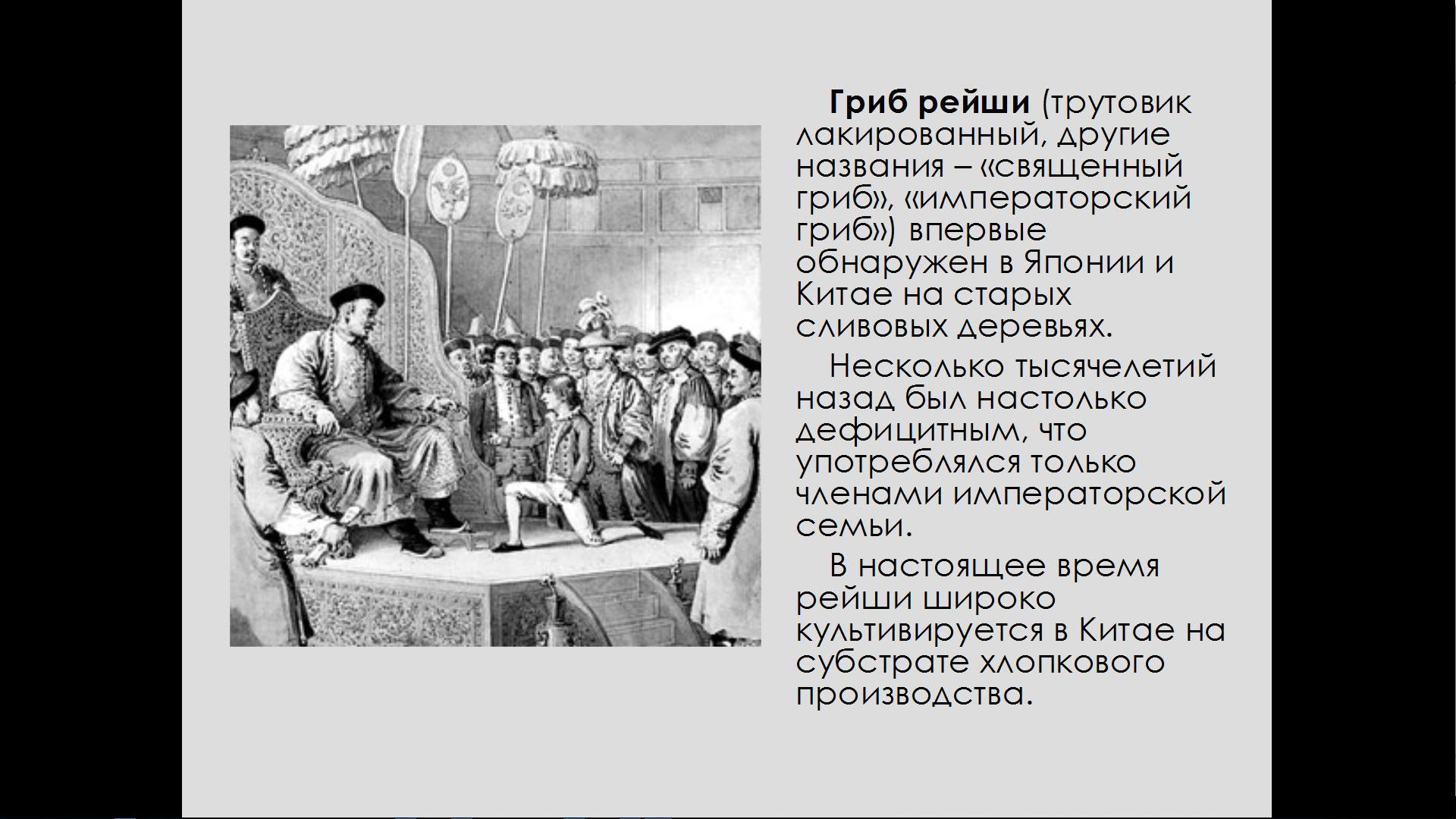 Рейши Кан