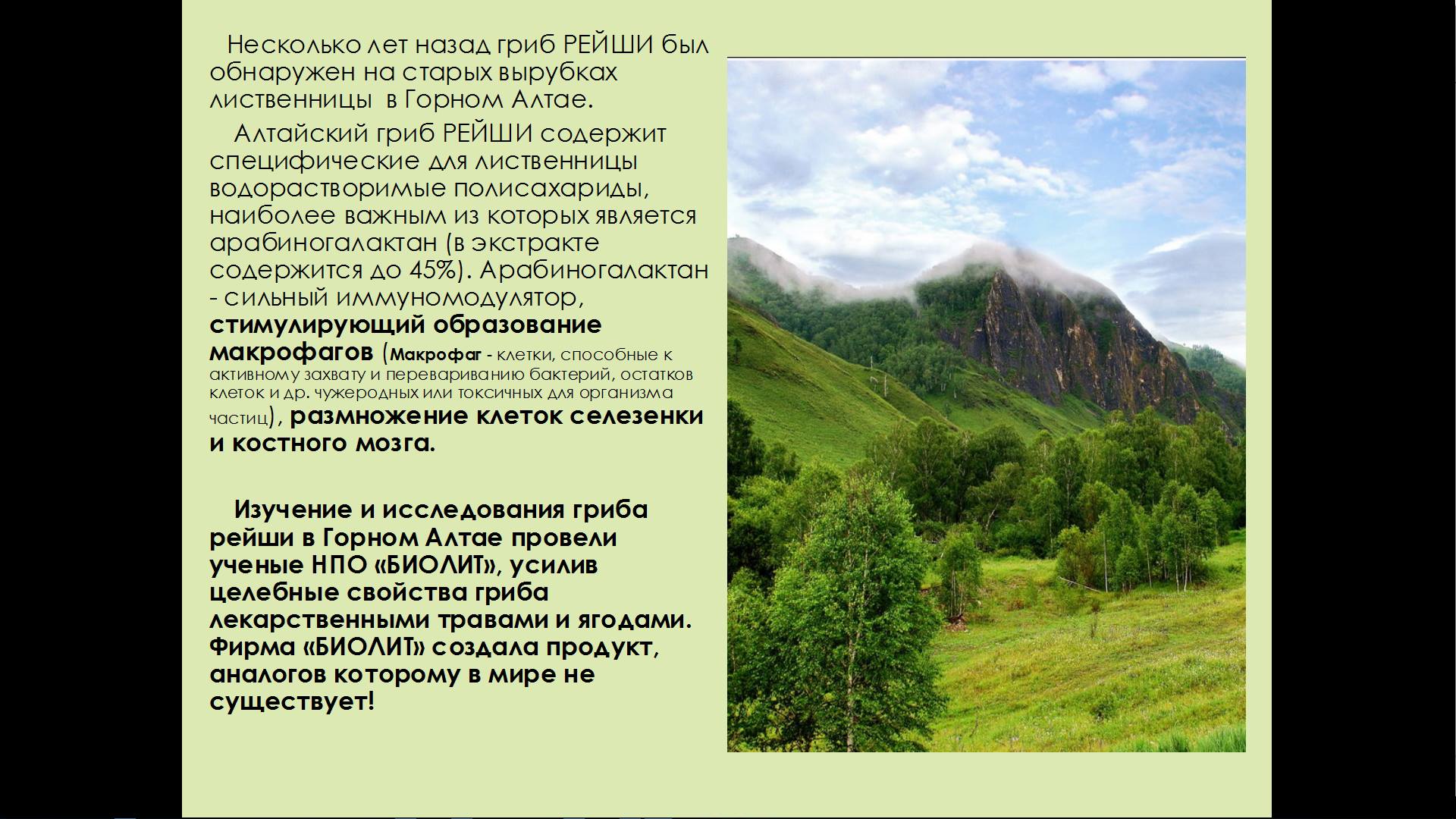 Рейши Кан Биолит