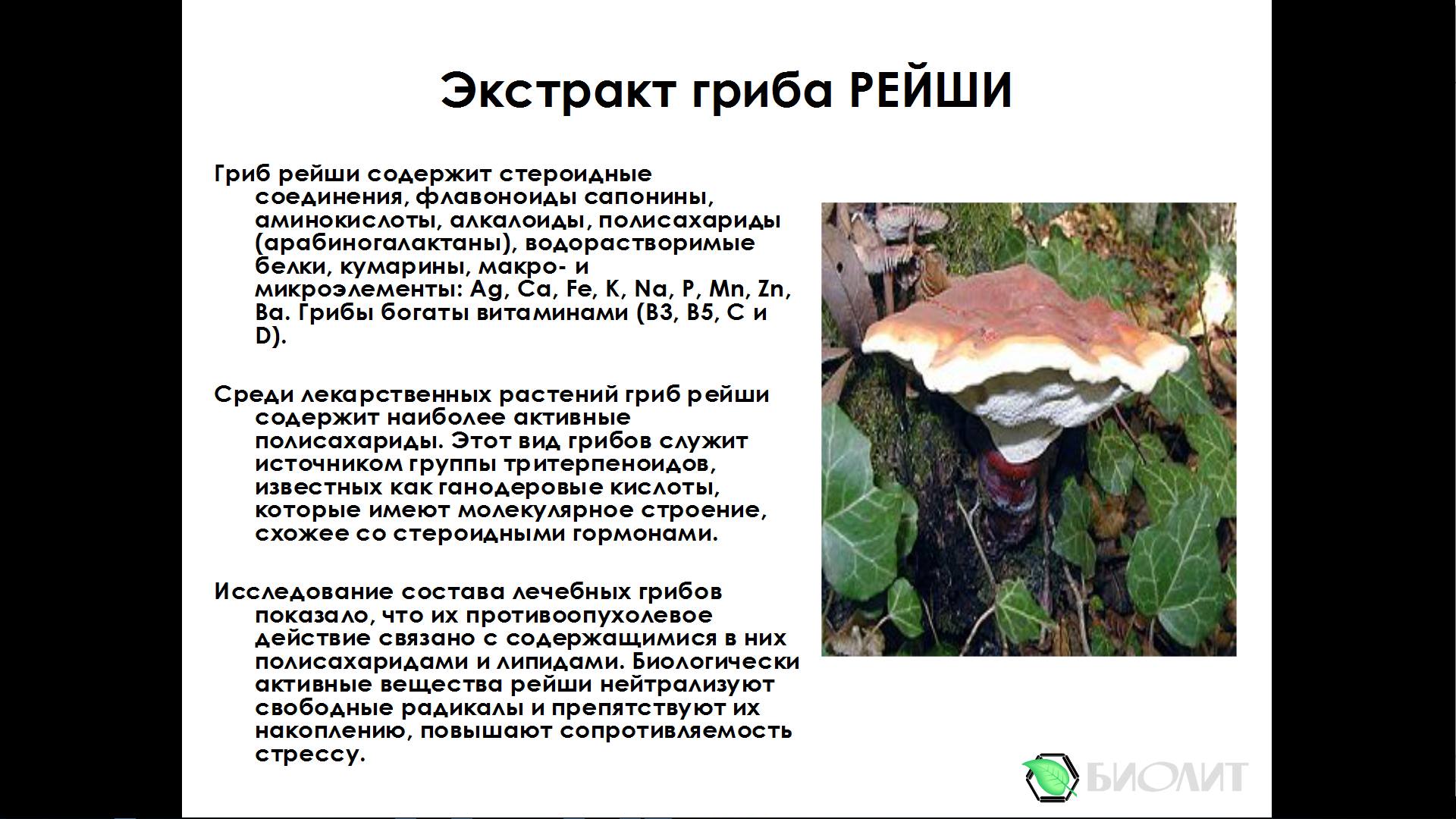 Биолит