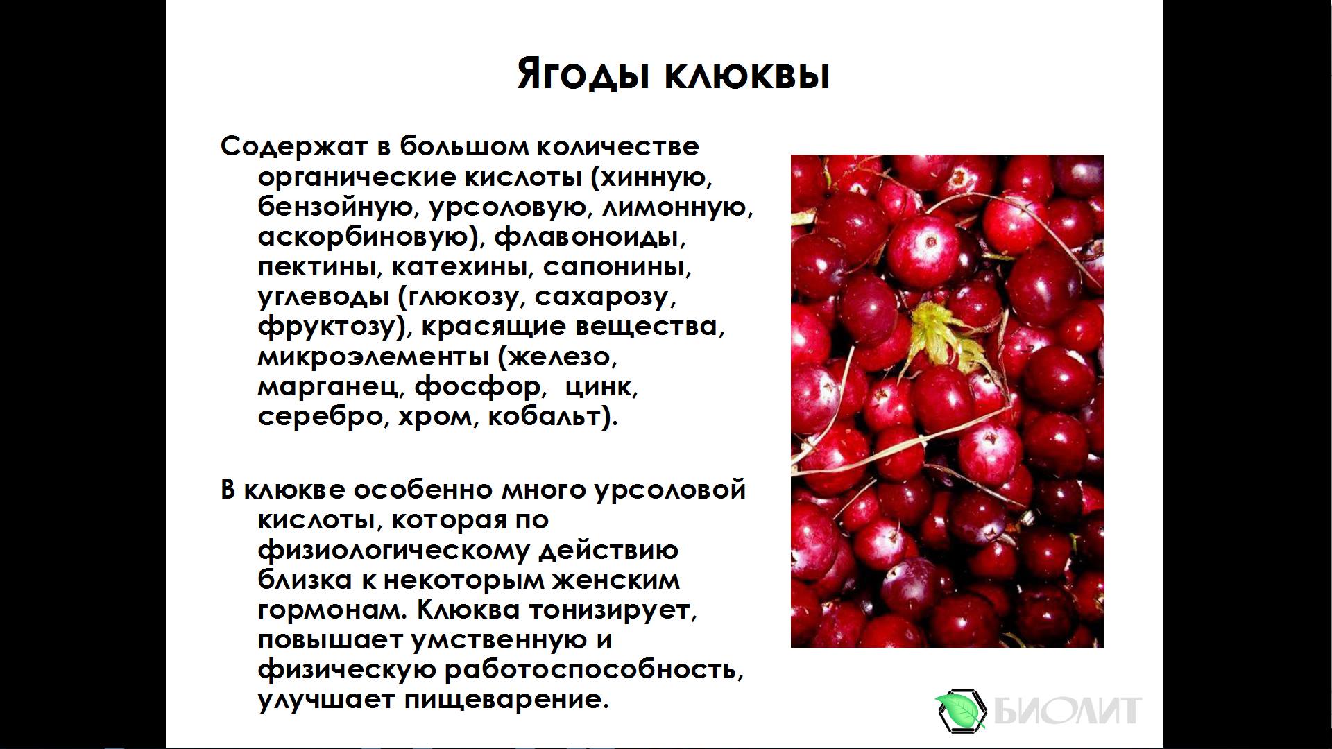 Рейши-Кан