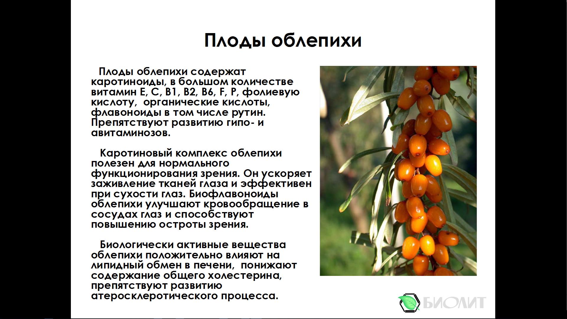 Рейши-Кан