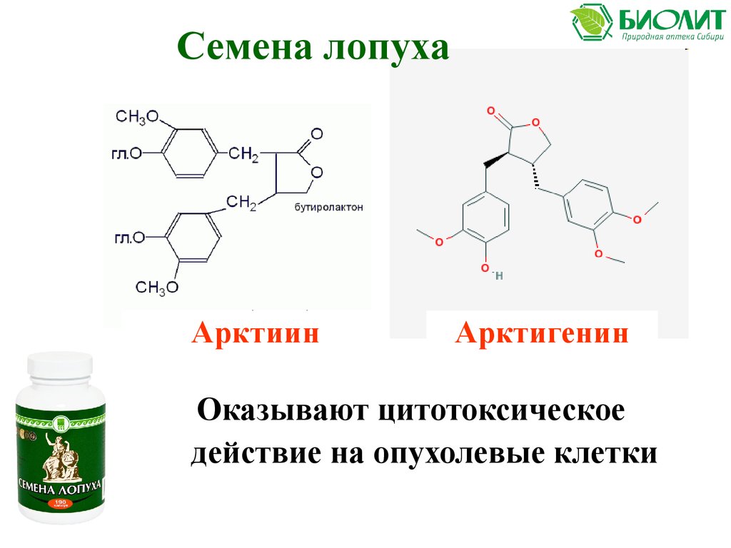 Семена лопуха