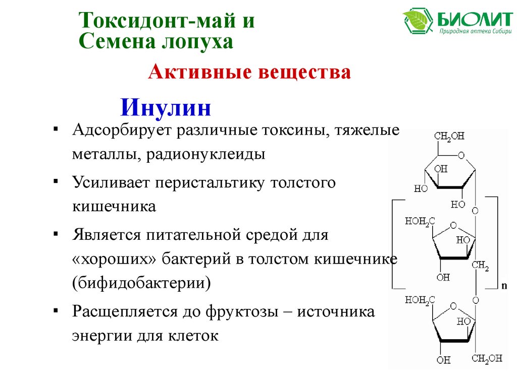 Семена лопуха