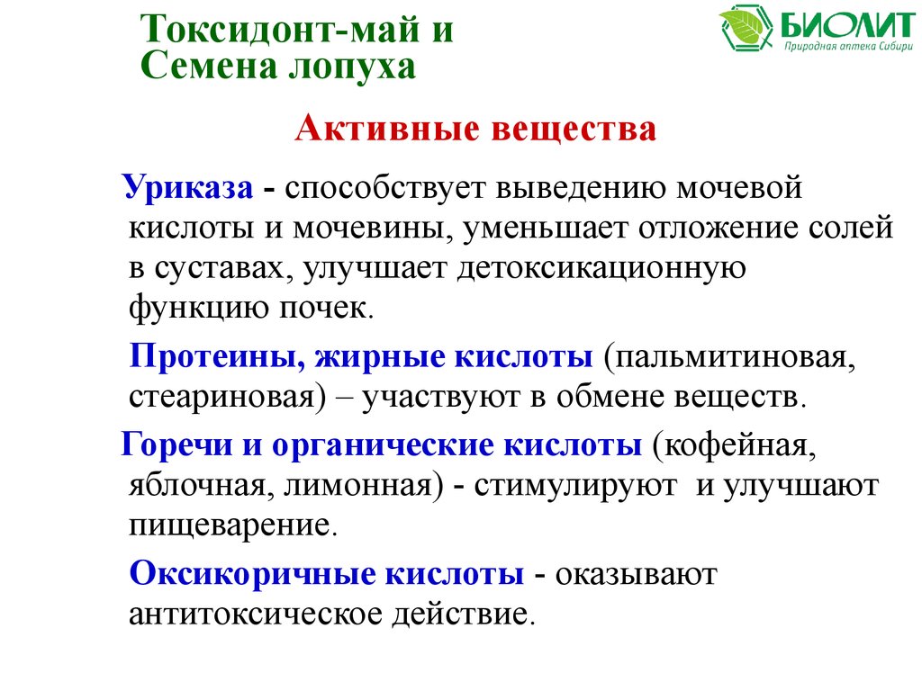 Семена лопуха