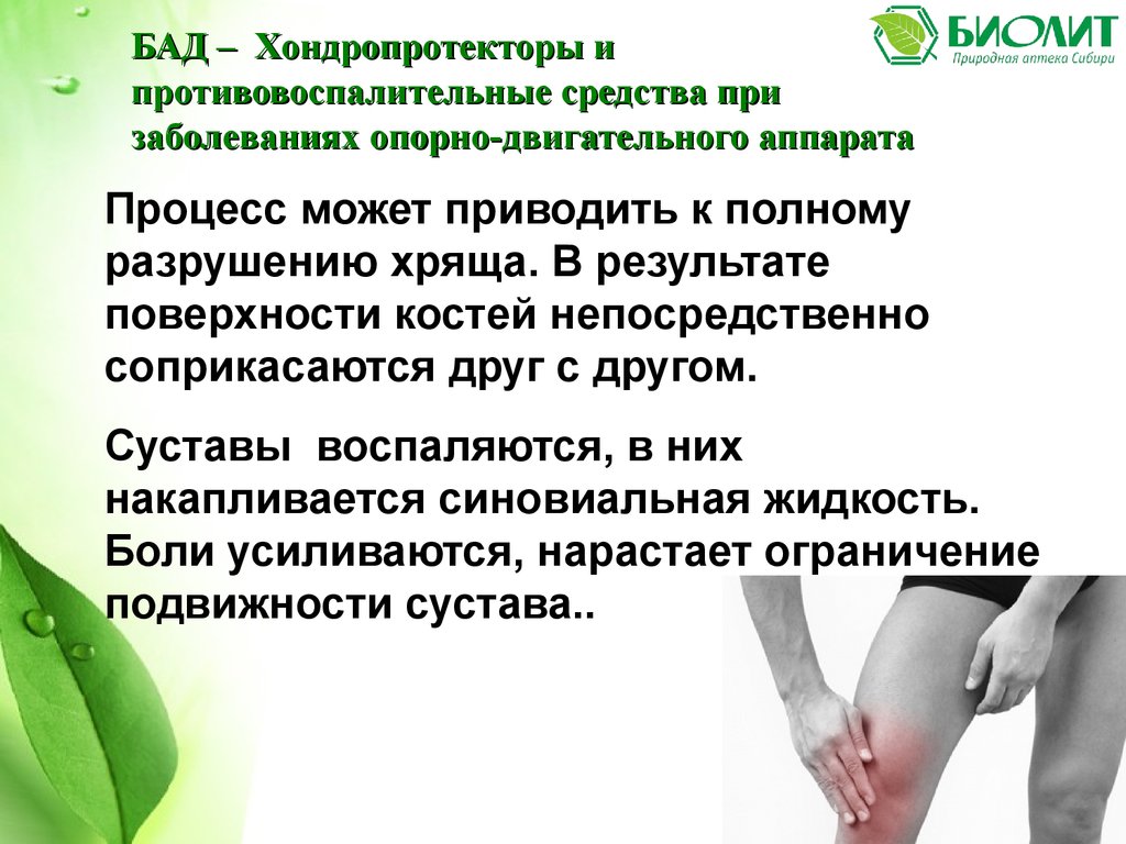 Биолит для суставов