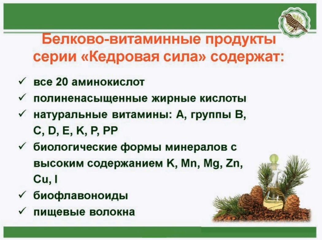 Кедровые силы