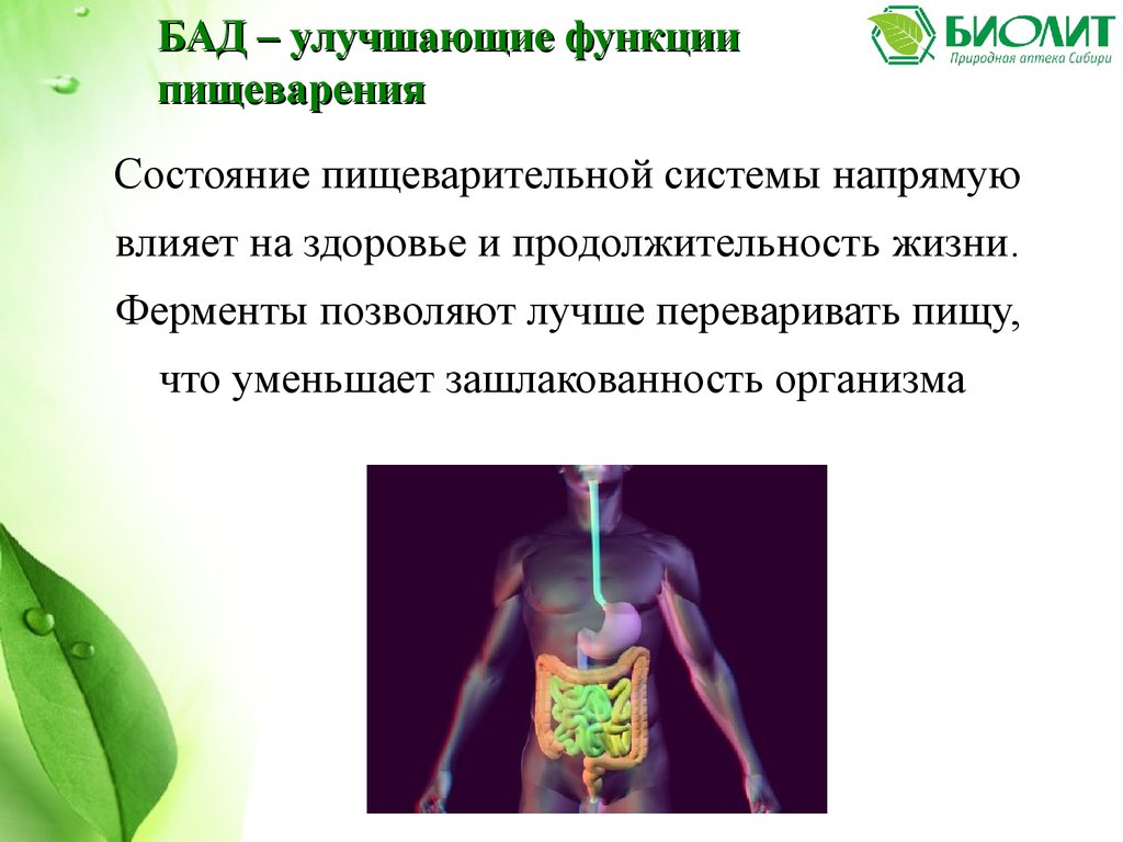 Биолит Арго