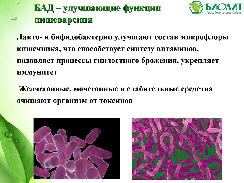 Семена солянки Холмовой