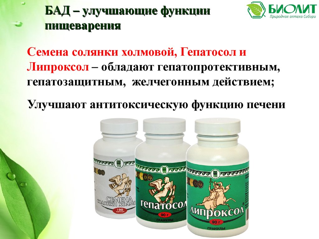Семена солянки Арго