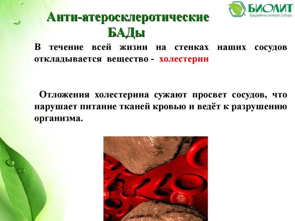 Холестерин Арго