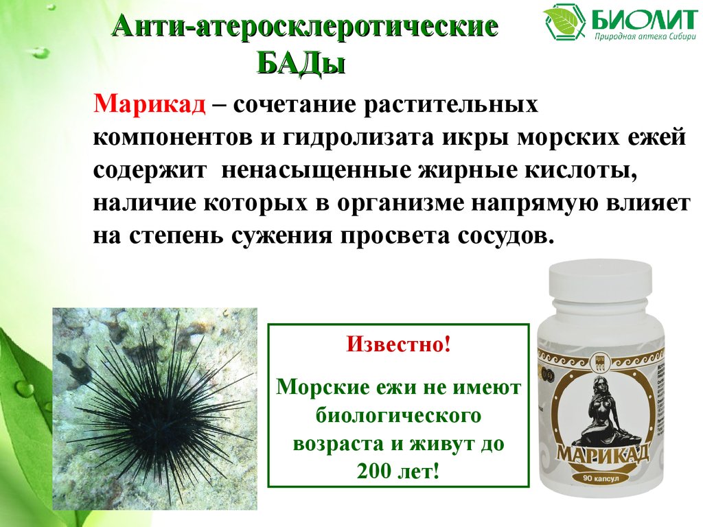 Биолит