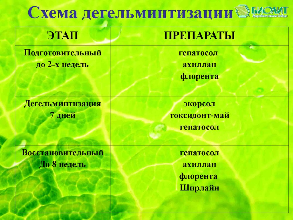 Биолит