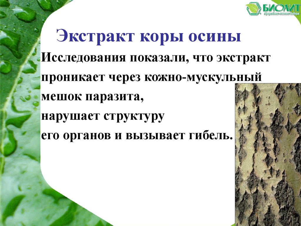 Описторхоз Биолит